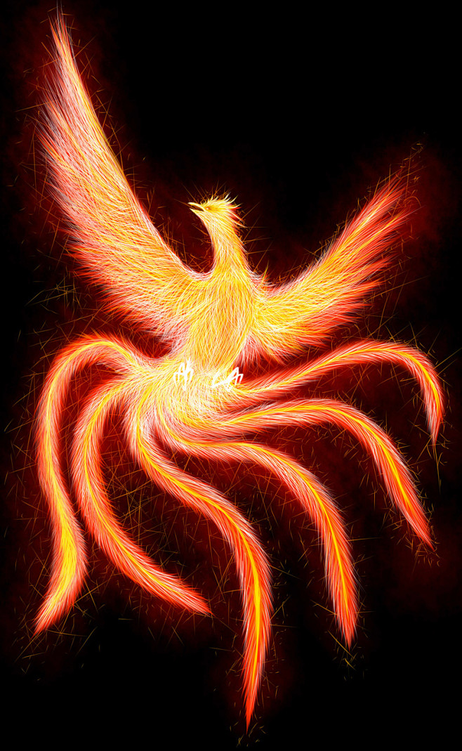 joker199156的插画火鸟火凤凤凰中的凤