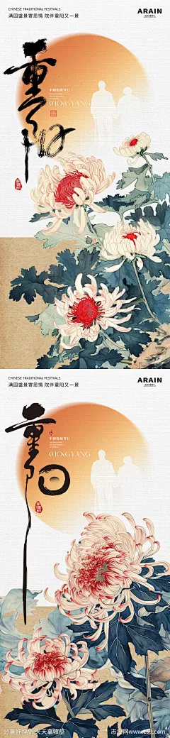 重阳节中式古风菊花插画海报-源文件-志设网-zs9.com