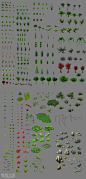 植物5.png