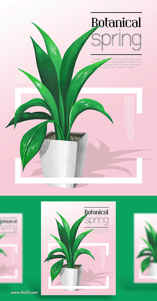 植物叶子PSD素材-乐分享