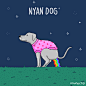 Nyan Dog : Nyan Dog