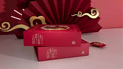 【苏写未来案例分享】小黑块黑糖姜茶 插画体现匠心_第3页-CND设计网