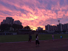 刘德华i采集到少女心