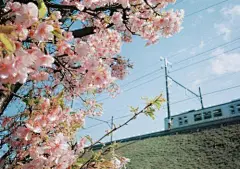 粽子节祝福语
http://www.qianming8.cn/jingdianhuayu/zhufuyu/19845.html