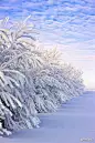 雪