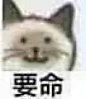 我觉得我哥追婧追魔怔了，花10万自己投票……