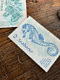 超大张的可做装饰画的海洋软体动物藏书票