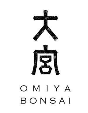 OMIYA BONSAI