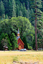 美国西南部自驾游优胜美地（Yosemite）