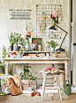 Harvest colours，丰收的色彩。（#Country Homes & Interiors# September 2016）