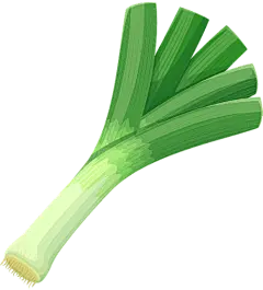Fresh Organic Leek Vegetable