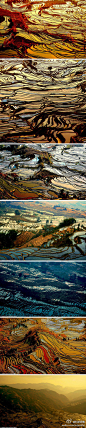 元阳是世界上最大的水稻产区之一，当地的梯田拥有1000多年历史