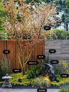 杂木风禅意庭院 _ 林间隙_14_植物景境design_来自小红书网页版-花瓣网