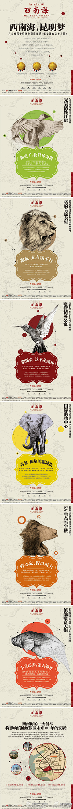 donnasia采集到商务