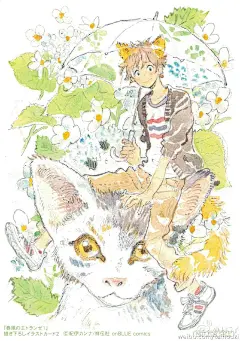 安利时间！#纪伊カンナ# 的《海边的异邦人》与续作《春风的异邦人》，很清新很治愈的画风对不对？人设风格分分钟想起细田守的《穿越时空的少女》《夏日大作战》对不对？然而，封面硕大的限字表面这是【BL】。但作者更多的着笔于感情的描写。所以肉食系的读者可能会感到清水~塞几张彩图你们快吃~~ ​​​​