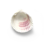 超高清 海星 海螺 贝壳 珊瑚 海马等 航洋生物主题 png元素 shell-96