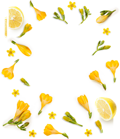 丫丫yfuygbjhb采集到花