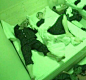★EXO★ShowTime【140101】回味那些有爱的瞬间_exoshowtime吧_百度贴吧