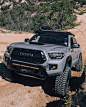 TOYOTA GREY BEAST SUV