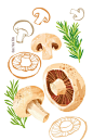 Mushrooms 