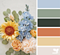 Design Seeds : Design Seeds color palettes ... posted daily for all who love color.