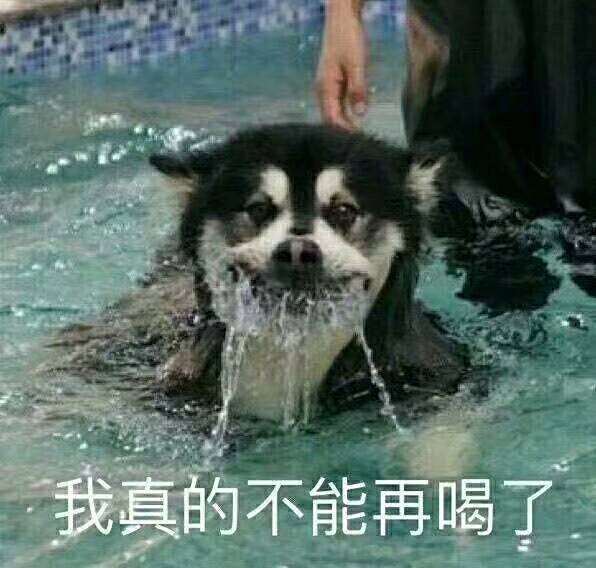 煎蛋4小时热榜