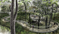 Trees and Trails Tree House visualization at Burden Woods, LSU - Didier Design Studio