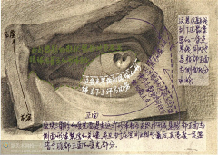 小米辣410采集到绘画