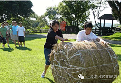 weiweiwei000采集到农业旅游