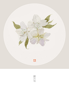 宁霜霜采集到古风花卉