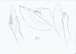#设计小课堂# 拿扇子&团扇的手部动态集！转需~（P站绘师電気うなぎ(id=9667491) ） ​​​​