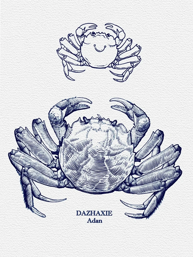 钢笔画-大闸蟹 - 小红书