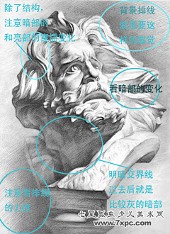 寒冰蓝采集到骨头