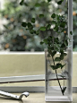 【造么工作室作品】建筑学花器 / Mur Mur Lab x 造么
用建筑学花器拓展建筑的边界
用建筑学思维思考日常生活
将建筑空间
塞进一个小小的立方体内
每一片亚克力的叠加
换种角度来看更
像是许多透明楼板的相互搭接
而原本建筑内部
拱券撑起的功能空间
也就变成了容器中拱形的空隙