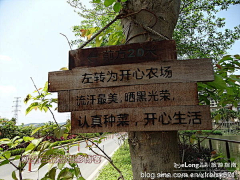 Li-S采集到森林公园