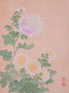 权志龙的小迷妹采集到没骨
