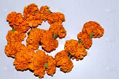 自然美,万寿菊,菊花,式样,传统,请柬,浪漫,壁纸,传统节日,现代