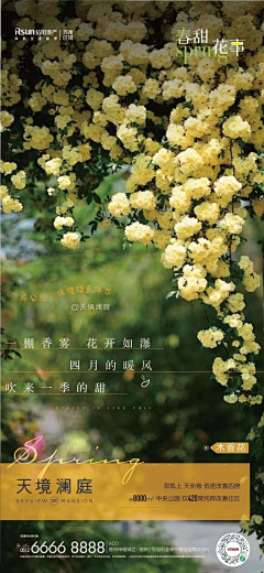 WWCHAO1109采集到花花世界