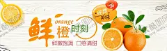 蔬果生鲜促销 【酷图网】生鲜海报,超市海报,生鲜展板,生鲜背景,生鲜广告,生鲜素材,蔬菜水果,蔬菜,水果,生鲜元素,蔬菜海报,水果海报,猪肉海报,蔬果海报,生鲜,果,猪肉,面包,鸡蛋,超市软装,超市吊眉,超市吊旗,超市装饰,超市氛围,超市形象墙,超市背景,蔬果,超市促销,超市活动,吊旗,南北散货