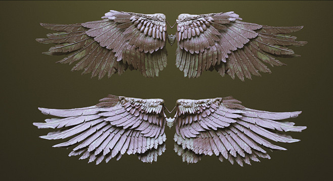 WINGS - 33 highpoly ...