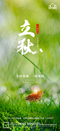 立秋推广宣传海报