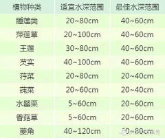 过去11采集到植物设计