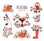 Autumnal arrangements collection with seasonal bouquets and animals