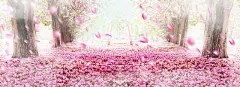 女装 设计图片 免费下载 页面网页 平面电商 创意素材