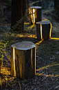 Stump by Duncan Meerding on www.recycledinteriors.org #upcycled: 