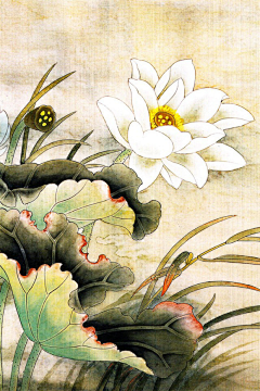 CICI823采集到古典绘画