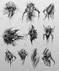 数字插图生物怪物概念设计