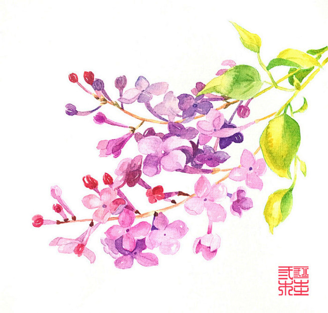 天国之花—丁香：光辉（Bright）