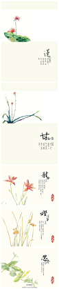 中国风本草，浅淡的笔触中散发着植物的香气（作者：人人人五）