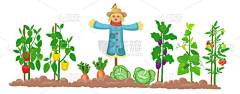 农场全景，有花园，床上有蔬菜，稻草人背景是白色的。孩子们的大场面卡通风格的矢量图解.  